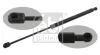Gasfeder, Koffer-/Laderaum beidseitig FEBI BILSTEIN 34420