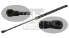 Gasfeder, Koffer-/Laderaum beidseitig FEBI BILSTEIN 34421