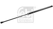 Gasfeder, Koffer-/Laderaum beidseitig FEBI BILSTEIN 34422