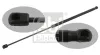 Gasfeder, Koffer-/Laderaum beidseitig FEBI BILSTEIN 34427