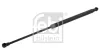 Gasfeder, Heckscheibe beidseitig FEBI BILSTEIN 34435