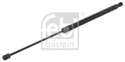 Gasfeder, Koffer-/Laderaum beidseitig FEBI BILSTEIN 34437