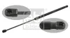 Gasfeder, Koffer-/Laderaum beidseitig FEBI BILSTEIN 34445