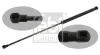 Gasfeder, Koffer-/Laderaum beidseitig FEBI BILSTEIN 34446