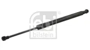 Gasfeder, Koffer-/Laderaum beidseitig FEBI BILSTEIN 34505