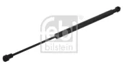 Gasfeder, Koffer-/Laderaum beidseitig FEBI BILSTEIN 34509