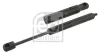 Gasfeder, Motorhaube beidseitig FEBI BILSTEIN 34510