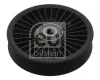 Umlenk-/Führungsrolle, Keilrippenriemen FEBI BILSTEIN 34619