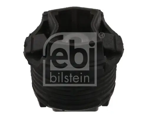 Lagerung, Hilfsrahmen/Aggregateträger Hinterachse links Hinterachse rechts hinten FEBI BILSTEIN 34697
