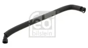 Schlauch, Kurbelgehäuseentlüftung oben FEBI BILSTEIN 36031