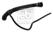 Kühlerschlauch oben FEBI BILSTEIN 36147