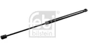 Gasfeder, Koffer-/Laderaum beidseitig FEBI BILSTEIN 36248
