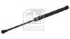 Gasfeder, Motorhaube beidseitig FEBI BILSTEIN 38190