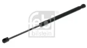 Gasfeder, Koffer-/Laderaum beidseitig FEBI BILSTEIN 38233