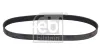 Keilrippenriemen FEBI BILSTEIN 38435 Bild Keilrippenriemen FEBI BILSTEIN 38435