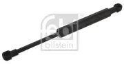 Gasfeder, Koffer-/Laderaum beidseitig FEBI BILSTEIN 38452