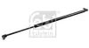 Gasfeder, Koffer-/Laderaum beidseitig FEBI BILSTEIN 38518