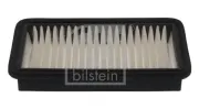 Luftfilter FEBI BILSTEIN 38876