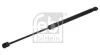 Gasfeder, Koffer-/Laderaum beidseitig FEBI BILSTEIN 39264