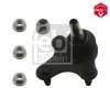 Trag-/F&uuml;hrungsgelenk Vorderachse rechts unten FEBI BILSTEIN 40669