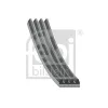 Keilrippenriemen FEBI BILSTEIN 40715