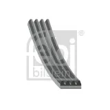 Keilrippenriemen FEBI BILSTEIN 40716