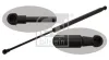 Gasfeder, Koffer-/Laderaum beidseitig FEBI BILSTEIN 40906
