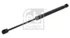 Gasfeder, Koffer-/Laderaum hinten links FEBI BILSTEIN 44002