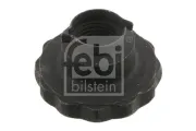 Mutter, Achszapfen FEBI BILSTEIN 46689