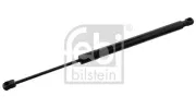 Gasfeder, Koffer-/Laderaum beidseitig FEBI BILSTEIN 47058