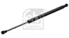 Gasfeder, Koffer-/Laderaum beidseitig FEBI BILSTEIN 47064