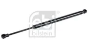 Gasfeder, Koffer-/Laderaum FEBI BILSTEIN 47116