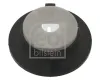 Federteller Hinterachse links Hinterachse rechts oben FEBI BILSTEIN 47578