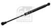 Gasfeder, Koffer-/Laderaum beidseitig FEBI BILSTEIN 47812