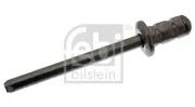 Blindniet FEBI BILSTEIN 48609