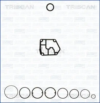 Dichtungssatz, Kurbelgehäuse TRISCAN 595-85128