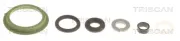 Dichtungssatz, Einspritzdüse TRISCAN 596-1008