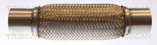 Flexrohr, Abgasanlage TRISCAN 7000 10021
