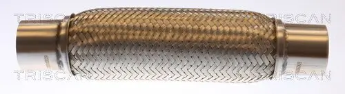 Flexrohr, Abgasanlage TRISCAN 7000 10029