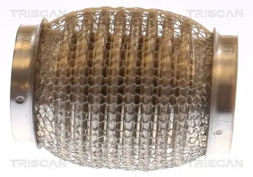 Flexrohr, Abgasanlage TRISCAN 7000 10113