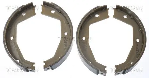 Bremsbackensatz, Feststellbremse TRISCAN 8100 10034