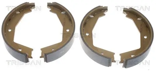 Bremsbackensatz, Feststellbremse TRISCAN 8100 10629