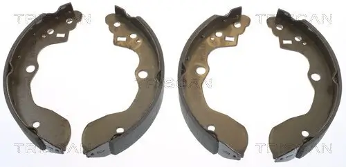 Bremsbackensatz TRISCAN 8100 10632