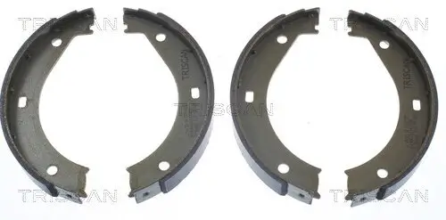 Bremsbackensatz TRISCAN 8100 11415
