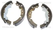Bremsbackensatz Hinterachse TRISCAN 8100 13031