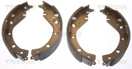 Bremsbackensatz Hinterachse TRISCAN 8100 13034