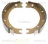 Bremsbackensatz, Feststellbremse Hinterachse TRISCAN 8100 13036