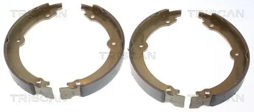 Bremsbackensatz, Feststellbremse TRISCAN 8100 13046