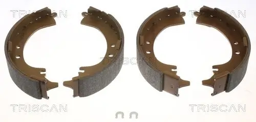 Bremsbackensatz Hinterachse TRISCAN 8100 13569
