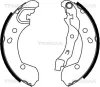 Bremsbackensatz TRISCAN 8100 14002